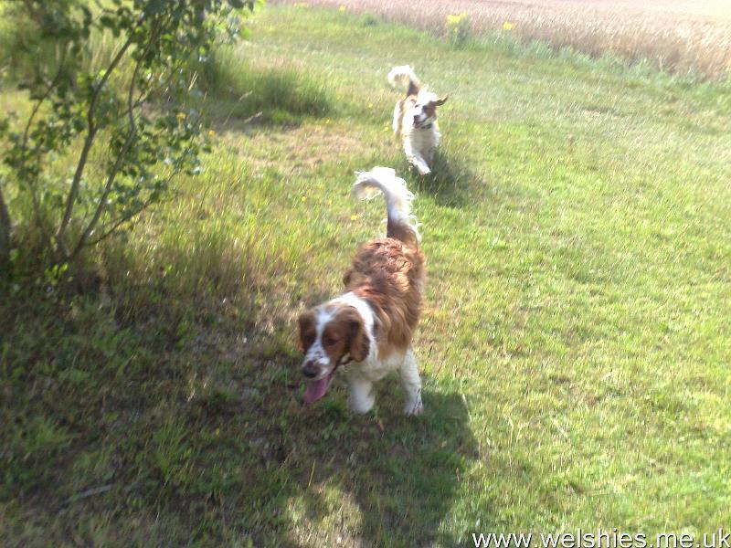 2011-07-31 06.jpg